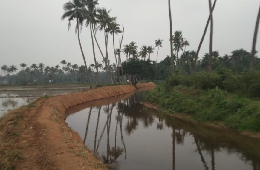 മറ്റത്തൂര്‍ കൊടകര പഞ്ചായത്തുകളെ ബന്ധിപ്പിക്കുന്ന കുഴിക്കാണി തോടിന്റെ പുനരുദ്ധാരണവും വശങ്ങളില്‍ കയര്‍ഭൂവസ്ത്രം വിരിക്കലും പൂര്‍ത്തിയാക്കി.