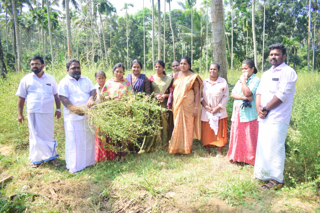 alagappa nagar panchayath