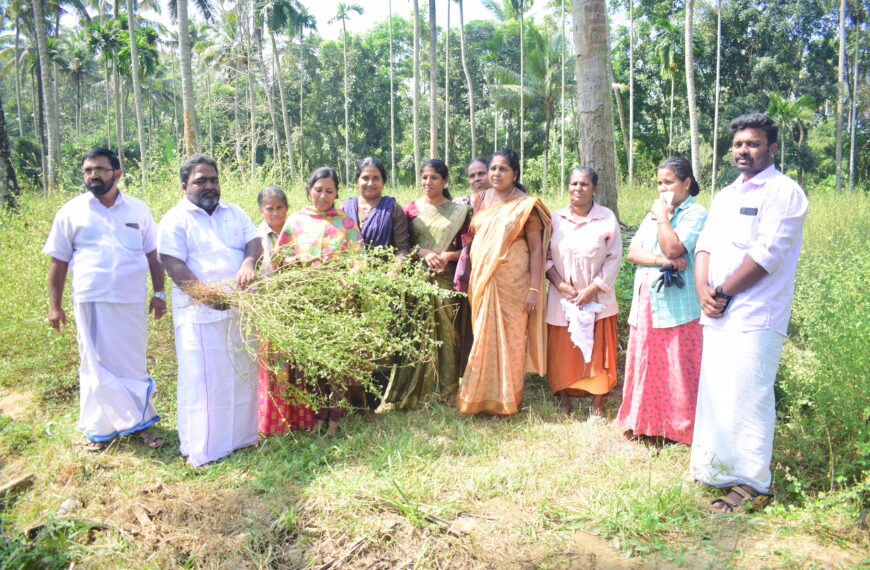  അളഗപ്പനഗര്‍ പഞ്ചായത്തില്‍ വാണിജ്യാടിസ്ഥാനത്തില്‍ കൃഷിചെയ്ത കുറുന്തോട്ടി കൃഷിയുടെ വിളവെടുപ്പ് നടത്തി. 