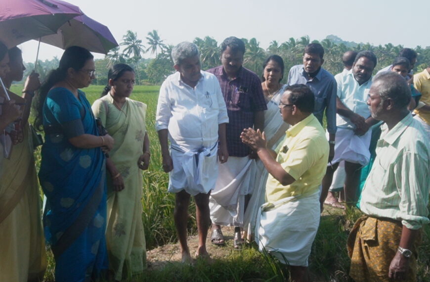 ഇലകരിച്ചിലും കടചീയലും മൂലം നശിച്ചുപോയ കാവല്ലൂര്‍ പാടശേഖരത്തിലെ കൃഷിയിടങ്ങള്‍ ജില്ലാ പഞ്ചായത്ത് പ്രസിഡന്റ് പി.കെ. ഡേവീസിന്റെ നേതൃത്വത്തില്‍ സന്ദര്‍ശിച്ചു. 