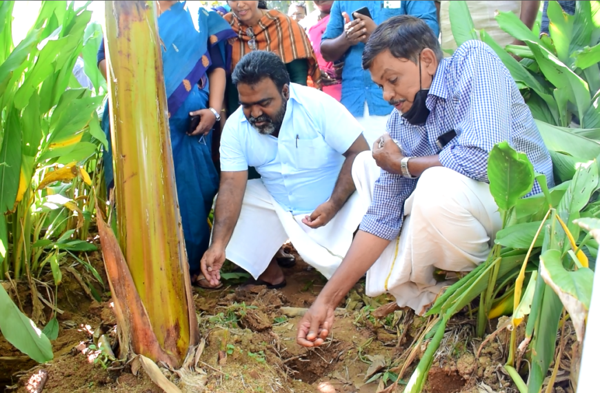 വരള്‍ച്ചയെ പ്രതിരോധിക്കാന്‍ ചെടികള്‍ക്കും ക്യാപ്‌സൂളുകള്‍.