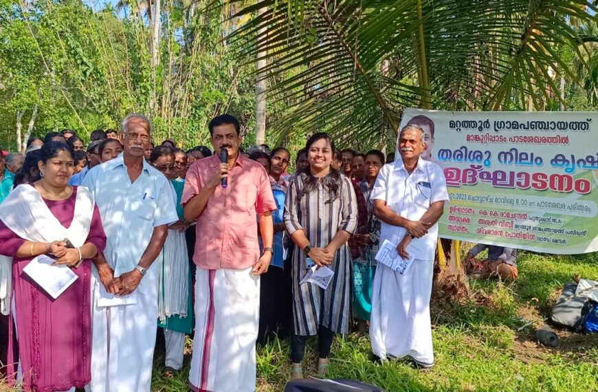 മറ്റത്തൂര്‍ ഗ്രാമപഞ്ചായത്തിലെ മാങ്കുറ്റിപ്പാടം പാടശേഖരത്തില്‍ ആറുവര്‍ഷങ്ങള്‍ക്കു ശേഷം വീണ്ടും കൃഷിയിറക്കുന്നു.