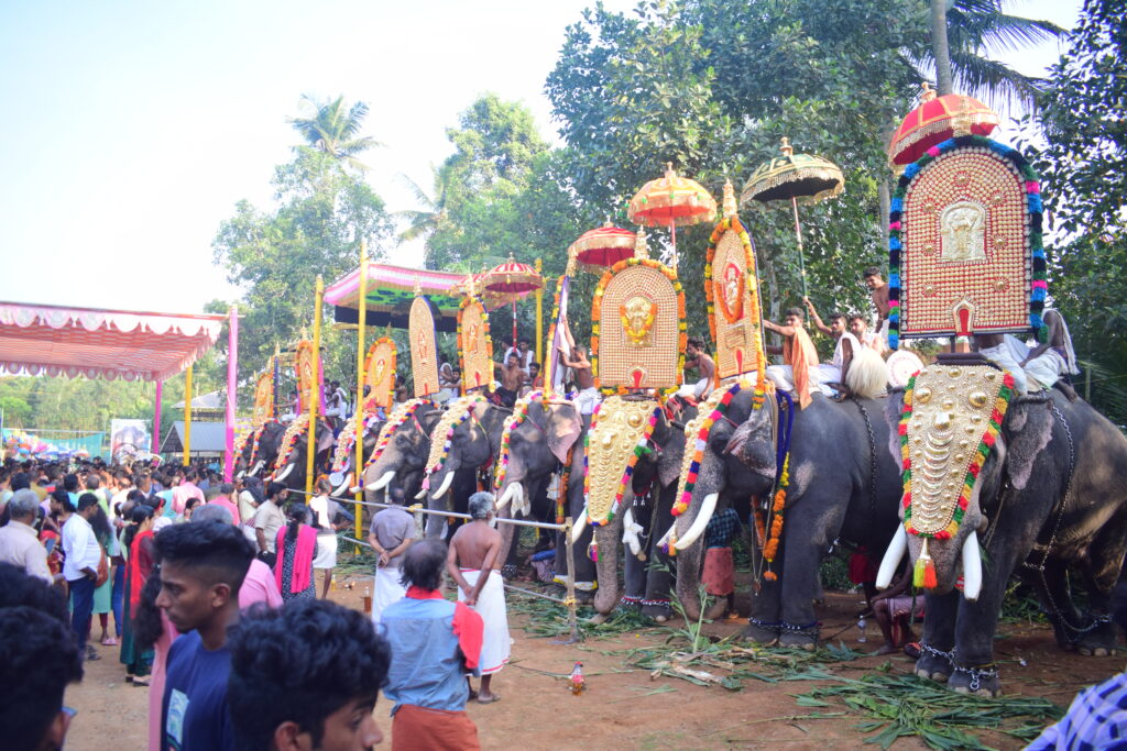 palakkal pooram