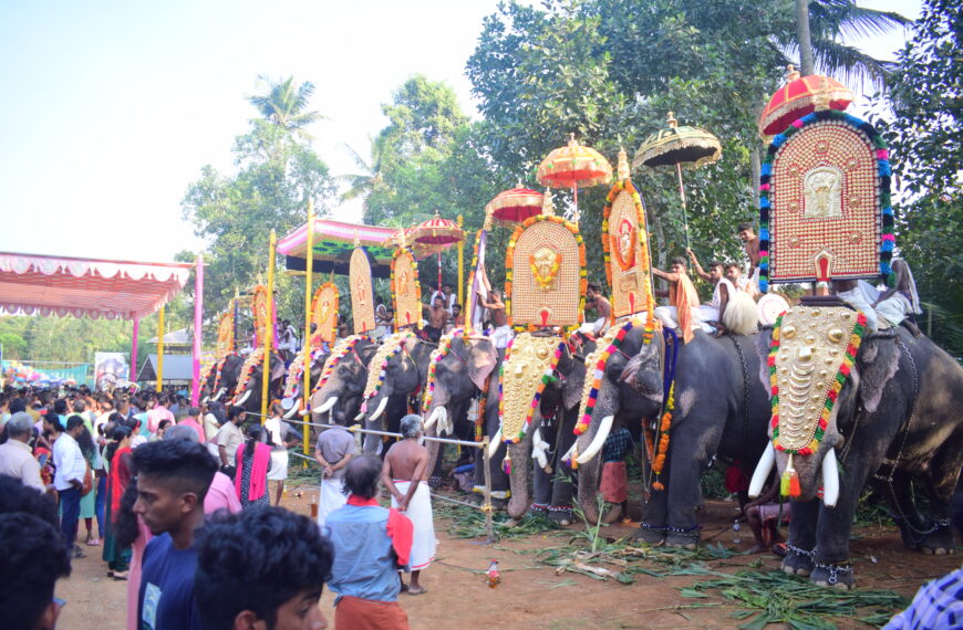 വരന്തരപ്പിള്ളി പാലയ്ക്കല്‍ ഭഗവതി ക്ഷേത്രത്തിലെ പൂരമഹോത്സവം ആഘോഷിച്ചു.