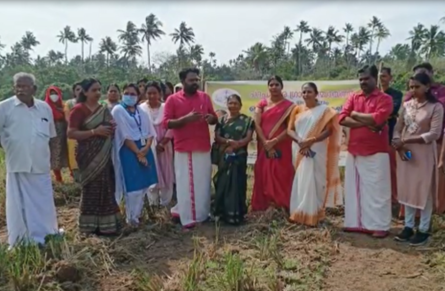 പറപ്പൂക്കര ഗ്രാമപഞ്ചായത്തിന്റെ നേതൃത്വത്തില്‍ ഒരേക്കറില്‍ പച്ചക്കറി കൃഷി ആരംഭിച്ചു