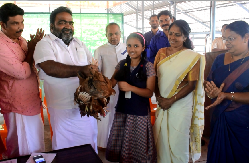 അടുക്കളമുറ്റത്തെ കോഴിവളര്‍ത്തല്‍ സ്‌കൂളുകളിലൂടെ പദ്ധതിയ്ക്ക് വെണ്ടോര്‍ സെന്റ് മേരീസ് യുപി സ്‌കൂളില്‍ തുടക്കമായി