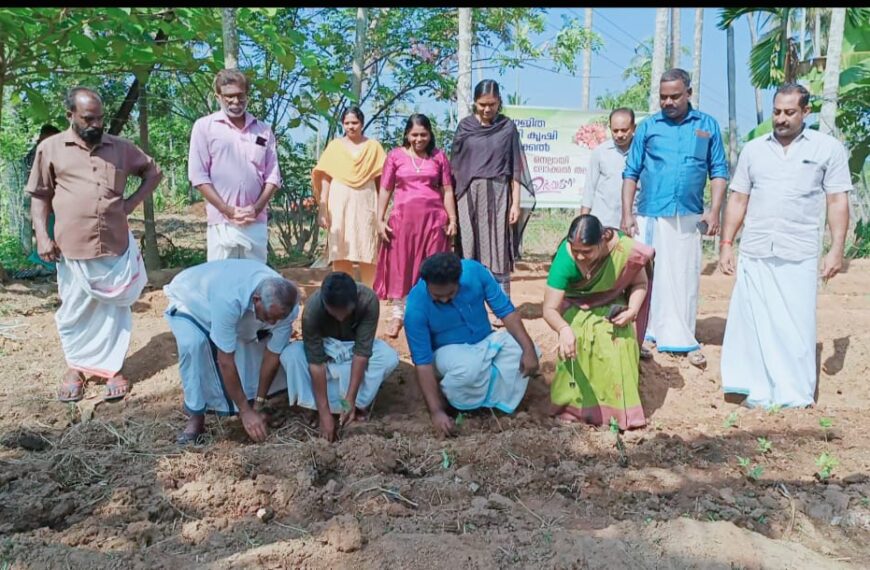 വിഷു കാലത്ത് ആരംഭിക്കുന്ന സുരക്ഷിത പച്ചക്കറിചന്തക്ക് മുന്നോടിയായി സിപിഎം നെല്ലായില്‍ ലോക്കല്‍ കമ്മിറ്റിയുടെ നേതൃത്വത്തില്‍ പച്ചക്കറി കൃഷിയ്ക്ക് തുടക്കമായി