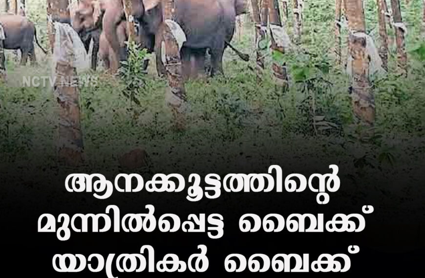 ആനക്കൂട്ടത്തിന്റെ മുന്നില്‍പ്പെട്ട ബൈക്ക് യാത്രികര്‍ ബൈക്ക് ഉപേക്ഷിച്ച് ഓടിരക്ഷപ്പെട്ടു