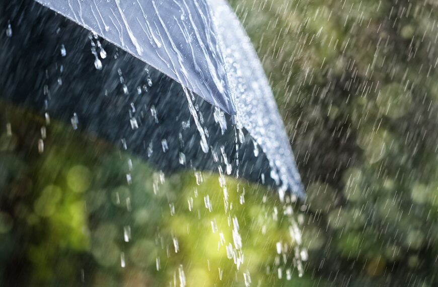 ഇന്നും മഴയ്ക്ക് സാധ്യതയുണ്ടെന്ന് കേന്ദ്ര കാലാവസ്ഥാ വകുപ്പ്‌