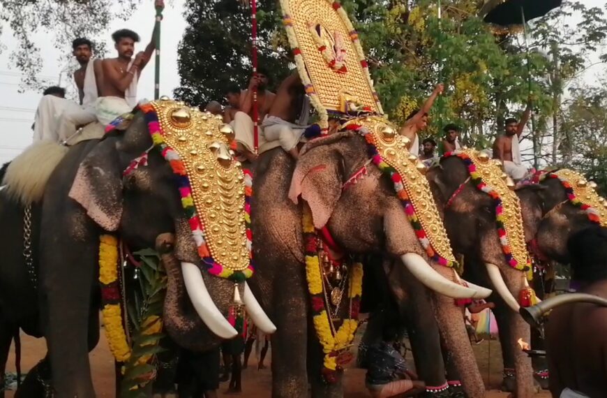 മേടംകുളങ്ങര ശ്രീ ധര്‍മ്മശാസ്താ ക്ഷേത്രത്തിലെ കൊടിയ്ക്കല്‍ പൂരം ആഘോഷിച്ചു