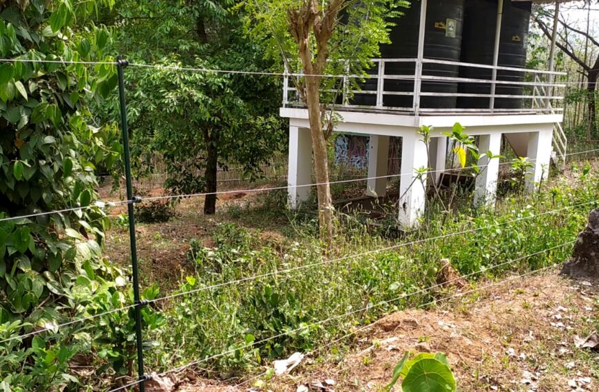 മറ്റത്തൂര്‍ പഞ്ചായത്തിന്റെ വടക്കു കിഴക്കേ കോണില്‍ വനത്താല്‍ ചുറ്റപ്പെട്ടുകിടക്കുന്ന കാരിക്കടവിലെ ആദിവാസി കുടുംബങ്ങള്‍ക്ക് ഇനി കാട്ടാനകളെ ഭയക്കാതെ കിടന്നുറങ്ങാം