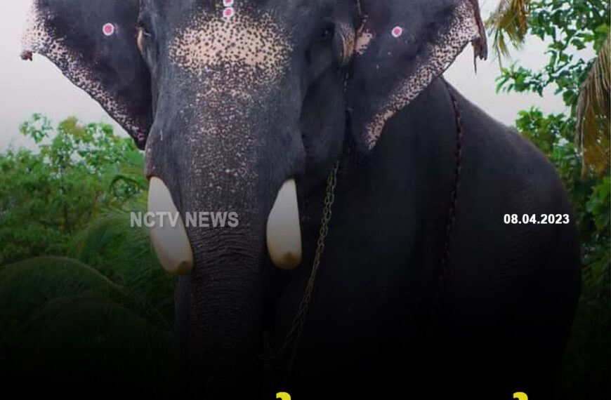 കൊമ്പന്‍ തോട്ടാന്‍ കേശവന്‍ ചരിഞ്ഞു