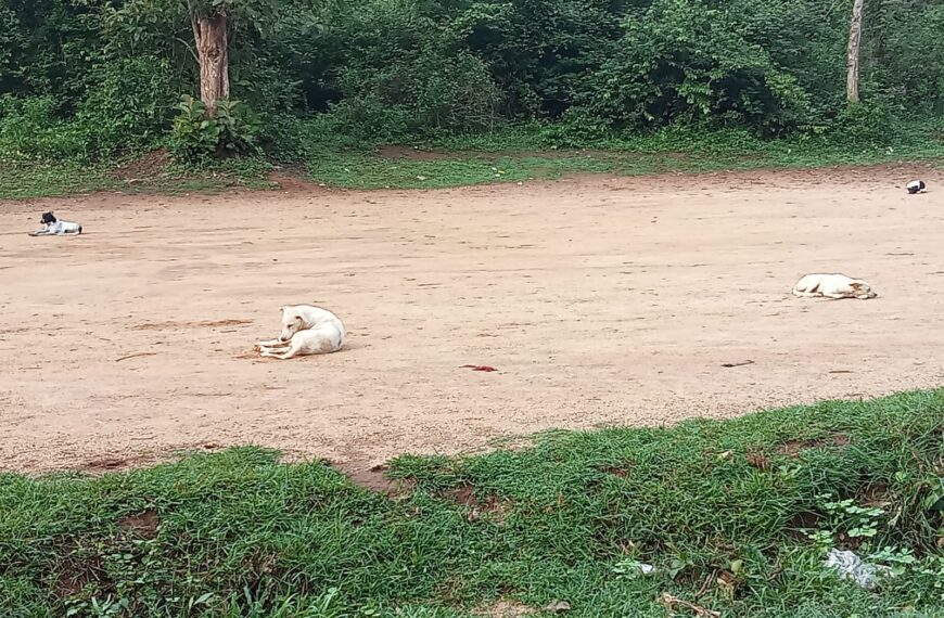 വരന്തരപ്പിള്ളി പഞ്ചായത്തിലെ വെട്ടിങ്ങപ്പാടത്ത് തെരുവുനായ ശല്യം രൂക്ഷമാകുന്നതായി പരാതി