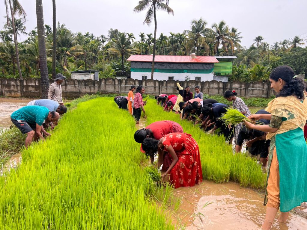 krishi chengalur