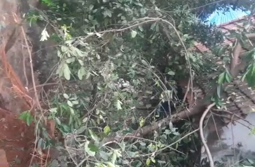 പുതുക്കാട് വീടിന് മുകളിലേക്ക് മണ്ണും മരവും ഇടിഞ്ഞുവീണു