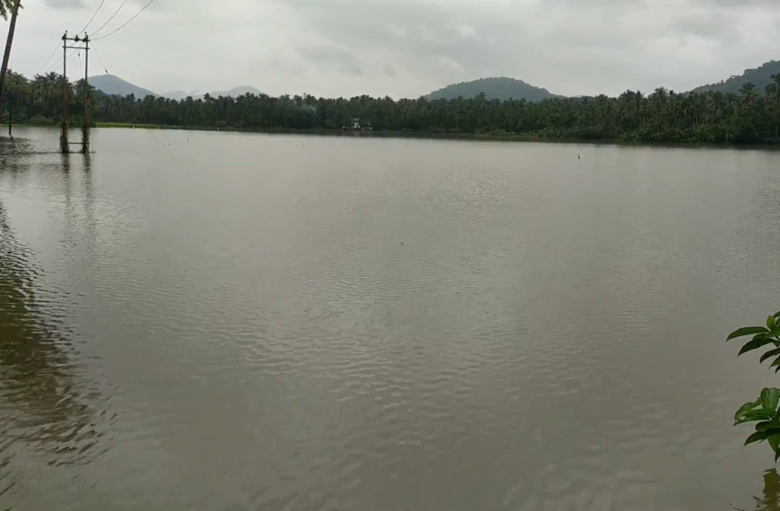 മൂന്നുദിവസത്തോളം  കനത്തുപെയ്ത മഴയെ തുടര്‍ന്ന് മറ്റത്തൂരിലെ കോടാലി പാടശേഖരം വെള്ളത്തിനടിയിലായി