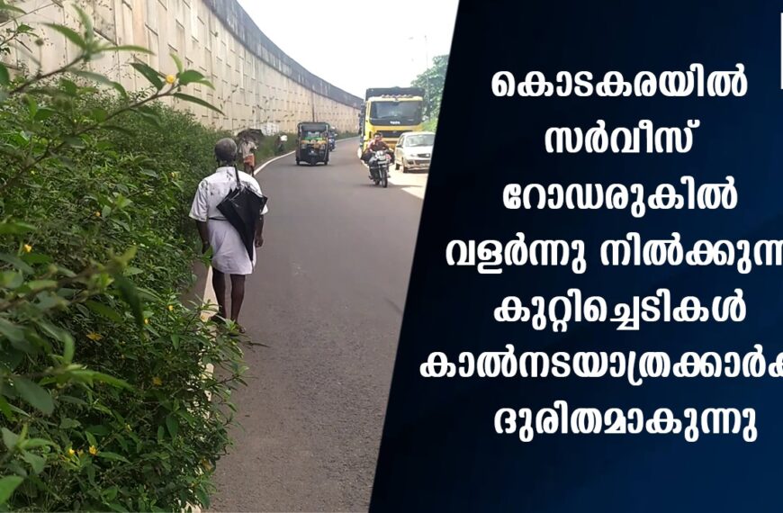 കൊടകരയില്‍ സര്‍വീസ് റോഡരുകില്‍ വളര്‍ന്നു നില്‍ക്കുന്ന കുറ്റിച്ചെടികള്‍ കാല്‍നടയാത്രക്കാര്‍ക്ക് ദുരിതമാകുന്നു