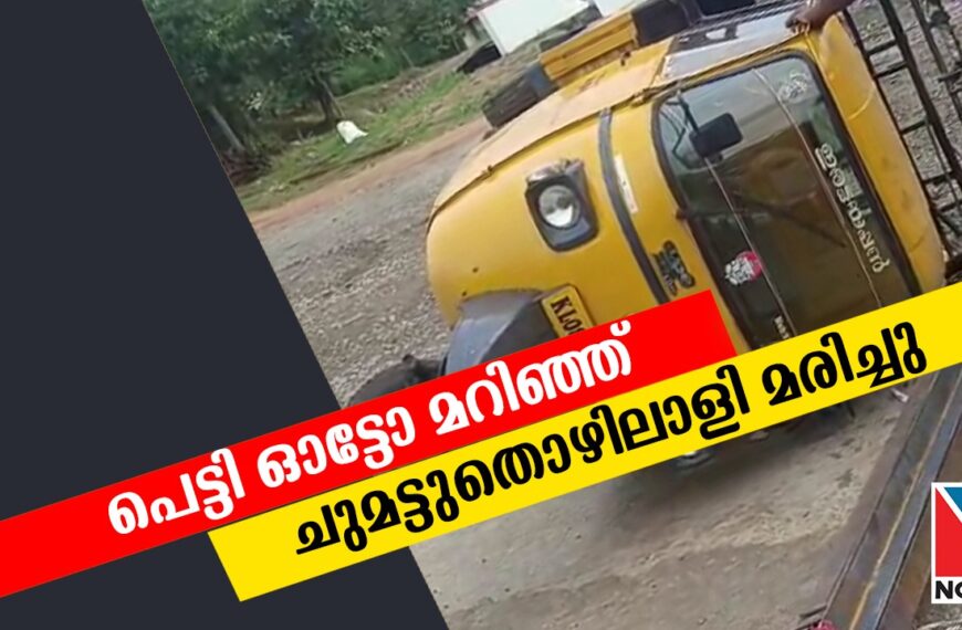പുത്തൂരില്‍ പെട്ടി ഓട്ടോ നിയന്ത്രണം വിട്ട് മറിഞ്ഞ് കല്ലൂര്‍ സ്വദേശി മരിച്ചു. കല്ലൂര്‍ ഞെള്ളൂര്‍ സ്വദേശി കുടിയിരിക്കല്‍ ബേബിയാണ് മരിച്ചത്