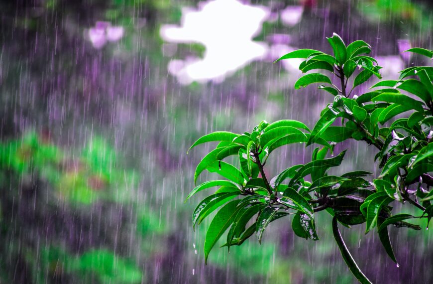 സംസ്ഥാനത്ത് ഇന്ന് ശക്തമായ മഴയ്ക്ക് സാദ്ധ്യത