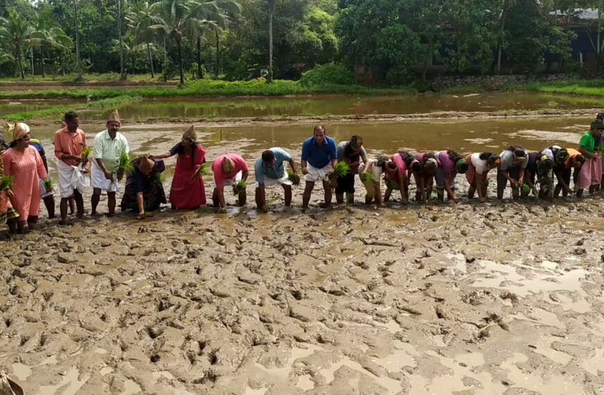 വിദ്യാത്ഥികളില്‍ കാര്‍ഷികാഭിരുചി വളര്‍ത്താന്‍ ലക്ഷ്യമിട്ട് കൊടകര ഗ്രാമപഞ്ചായത്തില്‍ കൃഷിപാഠശാല പദ്ധതിക്ക് തുടക്കമായി