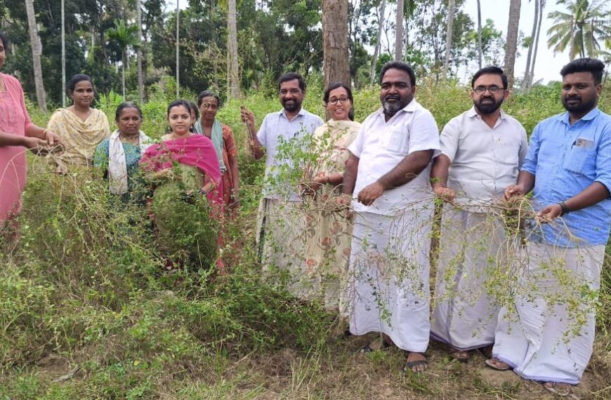 മറ്റത്തൂര്‍ ലേബര്‍ കോ ഓപ്പറേറ്റീവ് കോണ്‍ട്രാക്ട് സൊസൈറ്റിയുടെ സഹകരണത്തോടെ അളഗപ്പനഗര്‍ പഞ്ചായത്തില്‍ നടപ്പിലാക്കിവരുന്ന ഔഷധസസ്യകൃഷിയുടെ വിളവെടുപ്പ് നടത്തി