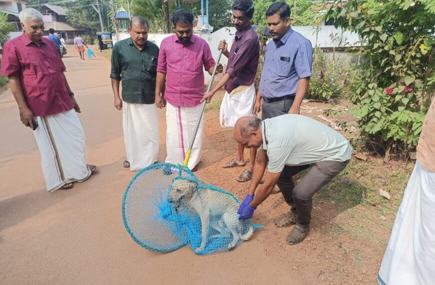 പറപ്പൂക്കര പഞ്ചായത്തില്‍ തെരുവ്‌നായ്ക്കള്‍ക്കുള്ള വാക്‌സിനേഷന്‍ ആരംഭിച്ചു