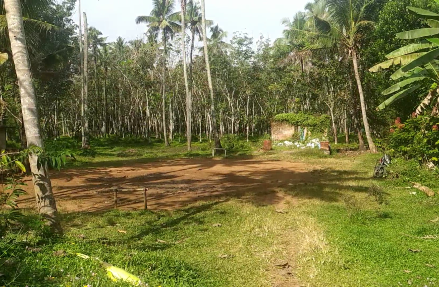 മറ്റത്തൂര്‍ പഞ്ചായത്തിലെ വെള്ളിക്കുളങ്ങരയില്‍ കളിസ്ഥലം സ്ഥാപിക്കണമെന്ന ആവശ്യം ഉയരുന്നു