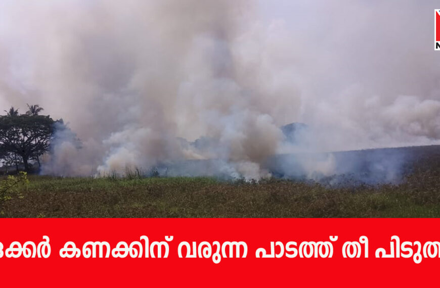 പാലിയേക്കരയില്‍ പാടത്ത് തീ പടര്‍ന്നു. ഏക്കര്‍ കണക്കിന് വരുന്ന പാടത്തെ പുല്ലിനാണ് തീ പിടിച്ചത്