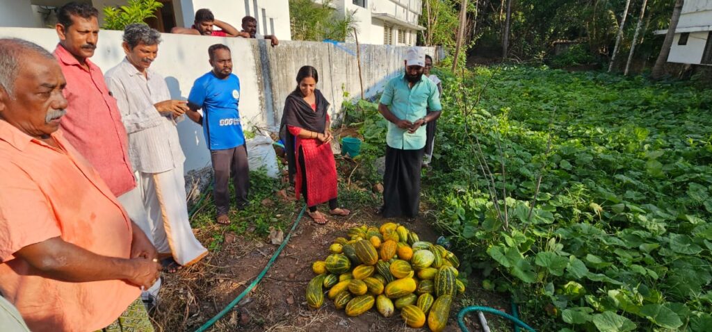 nenmanikara farmers