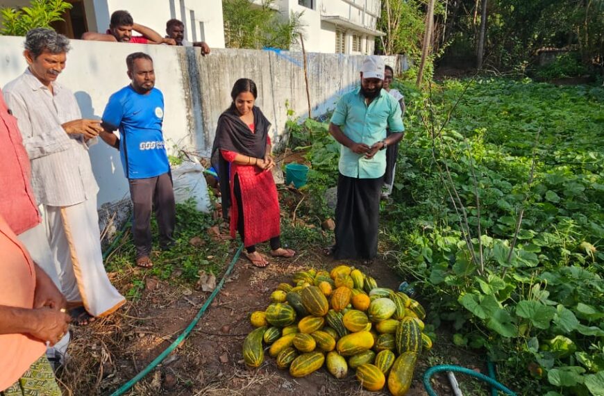 വിഷുവിന് ആഴ്ചകള്‍ മാത്രം ബാക്കിനില്‍ക്കെ കണിവെള്ളരി നേരത്തെ തന്നെ തയ്യാര്‍. നെന്മണിക്കരയിലെ ഒരു കൂട്ടം കര്‍ഷരുടെ നേതൃത്വത്തിലാണ് സ്വന്തം നാട്ടില്‍ തന്നെ കണിവെള്ളരി വിളയിച്ചിരിക്കുന്നത്