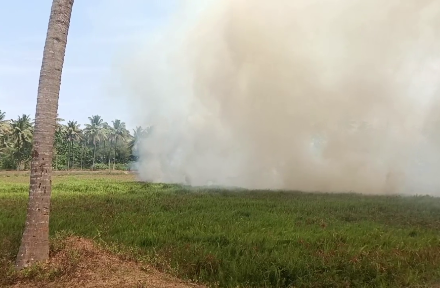 കല്ലൂര്‍ ആദൂരില്‍ ഏക്കര്‍ക്കണത്തിന് പാടത്ത് പുല്ലിന് തീ പിടിച്ചു