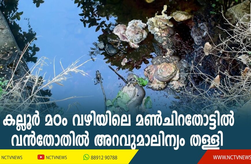 കല്ലൂര്‍ മഠം വഴിയിലെ മണ്‍ചിറതോട്ടില്‍ വന്‍തോതില്‍ അറവുമാലിന്യം തള്ളി