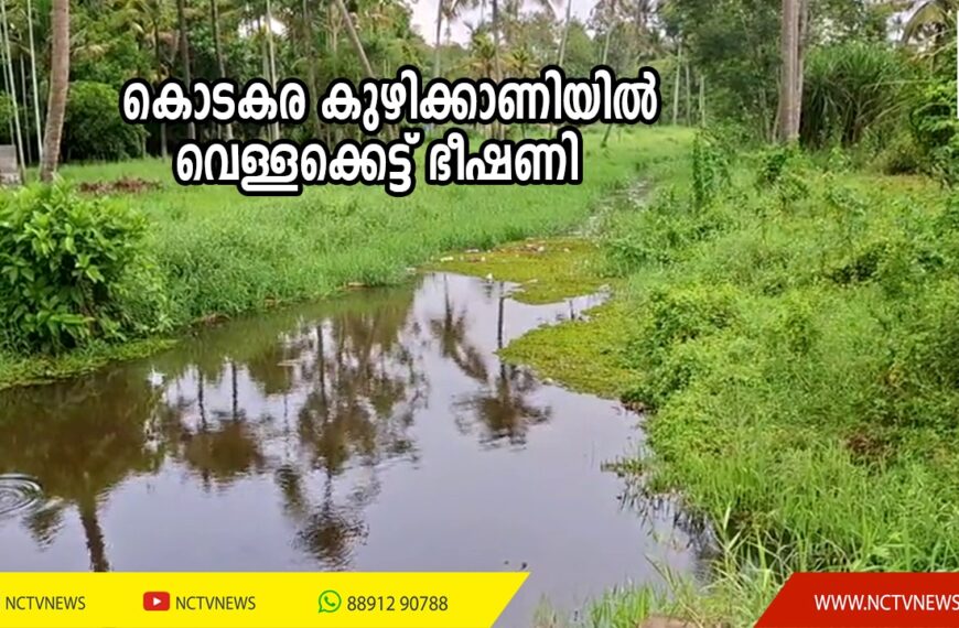 മറ്റത്തൂര്‍, കൊടകര, പറപ്പൂക്കര പഞ്ചായത്തുകളുടെ അതിര്‍ത്തിയിലൂടെ ഒഴുകുന്ന കുഴിക്കാണി തോട്ടില്‍ പാഴ്‌ച്ചെടികള്‍ വളര്‍ന്നു നില്‍ക്കുന്നത് നീരൊഴുക്കിന് തടസമാകുന്നു