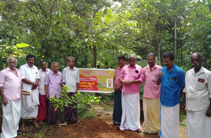 തരിശ് ഭൂമി കൃഷി യോഗ്യമാക്കുക എന്ന പദ്ധതിയുടെ ഭാഗമായി ബികെഎംയു പുതുക്കാട് മണ്ഡലത്തിലെ വരന്തരപ്പിളളി ലോക്കല്‍ കമ്മിറ്റിയുടെ നേതൃത്വത്തില്‍ നന്തിപുലത്ത് കപ്പ കൃഷി ആരംഭിച്ചു