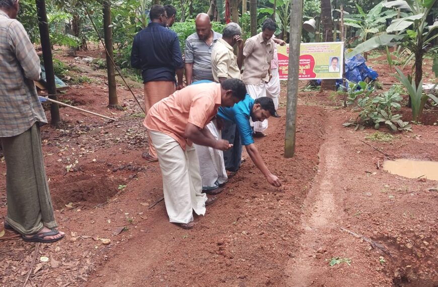 ബികെഎംയു മറ്റത്തൂര്‍ ലോക്കല്‍ കമ്മിറ്റിയുടെ നേതൃത്വത്തില്‍ അന്നാംപാടത്ത് പയര്‍ കൃഷി ആരംഭിച്ചു