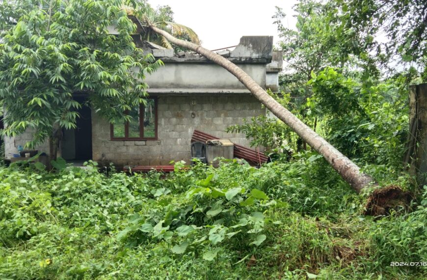 ശക്തമായ മഴയിലും കാറ്റിലും മണ്ണംപേട്ട പൂക്കോടില്‍ വീടിനു മുകളിലേക്ക് തെങ്ങ് കടപുഴകി വീണു
