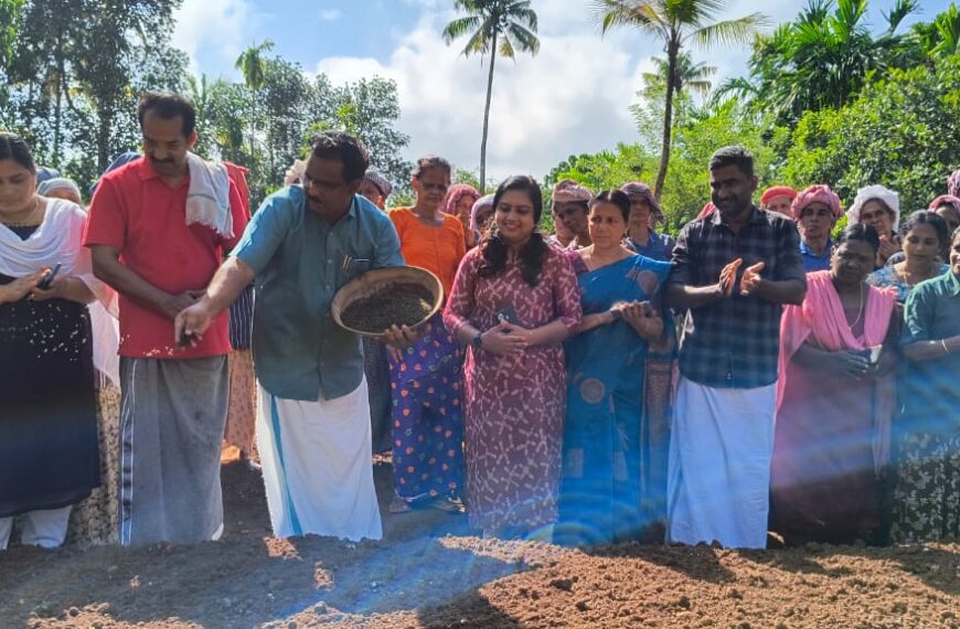മറ്റത്തൂര്‍ ഗ്രാമപഞ്ചായത്തില്‍ ഔഷധസസ്യകൃഷി വ്യാപനത്തിന്റെ ഭാഗമായി ചെട്ടിച്ചാലില്‍ കുറുന്തോട്ടി കര്‍ഷക ഗ്രൂപ്പിന്റെ നേതൃത്വത്തില്‍ കുറുന്തോട്ടി കൃഷി വിത്തിറക്കല്‍ നടന്നു