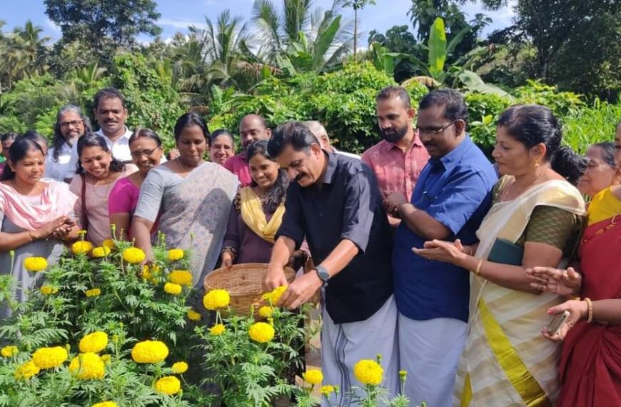 പൊലിമ പുതുക്കാടിന്റെ ഭാഗമായി തൃക്കൂര്‍ ഗ്രാമപഞ്ചായത്തിലെ ഭരതയില്‍ നട്ട പൂ കൃഷിയുടെ വിളവെടുപ്പ് നടത്തി