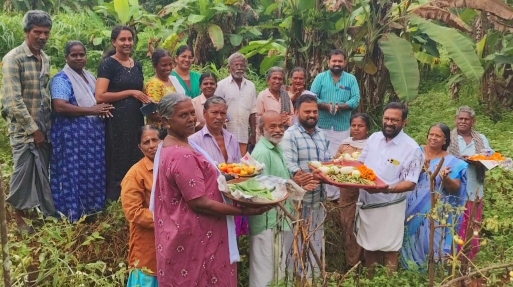 ബികെഎംയു അളഗപ്പനഗര്‍ ഈസ്റ്റ് തെക്കേക്കര-പച്ചക്കറികൃഷി വിളവെടുപ്പ്-nctv news-nctv live-nctv pudukad