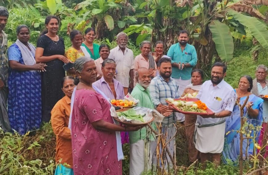 ബികെഎംയു അളഗപ്പനഗര്‍ ഈസ്റ്റ് തെക്കേക്കരയിലെ കര്‍ഷക തൊഴിലാളികള്‍ ചെയ്ത പച്ചക്കറികൃഷിയുടെ വിളവെടുപ്പ് നടത്തി