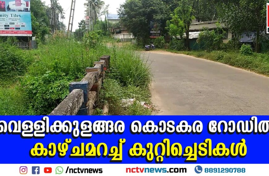 കോടാലി പൂവാലിത്തോട് പാലത്തിനോട് ചേര്‍ന്ന് റോഡരുകില്‍ കുറ്റിച്ചെടികള്‍ വളര്‍ന്ന് നില്‍ക്കുന്നത് കാഴ്ച മറക്കുന്നു