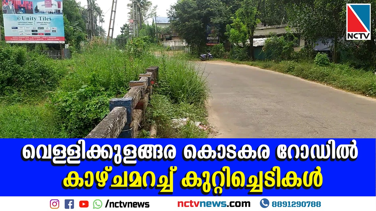 കോടാലി പൂവാലിത്തോട് പാലത്തിനോട് ചേര്‍ന്ന് റോഡരുകില്‍ കുറ്റിച്ചെടികള്‍ വളര്‍ന്ന് നില്‍ക്കുന്നത് കാഴ്ച മറക്കുന്നു