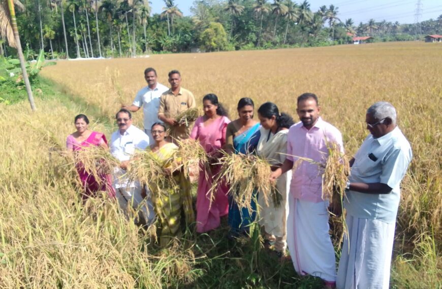 തൃക്കൂര്‍ ഗ്രാമപഞ്ചായത്തിന്റെ തരിശ്ഭൂമി നെല്‍കൃഷിക്ക് ഉപയുക്തമാക്കല്‍ പദ്ധതി പ്രകാരം മതിക്കുന്ന് പാടശേഖരത്തില്‍ ചെയ്ത നെല്‍കൃഷിയുടെ കൊയ്ത്തുല്‍സവം നടത്തി