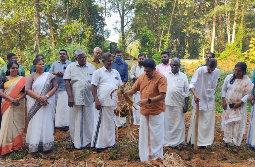 വട്ടണാത്ര സര്‍വീസ് സഹകരണ ബാങ്ക്, ആമ്പല്ലൂര്‍ സര്‍വീസ് സഹകരണ ബാങ്ക് എന്നിവ അംഗങ്ങളായ അളഗപ്പ നഗര്‍ കോ ഓപ്പറേറ്റിവ് കണ്‍സോര്‍ഷ്യത്തിന്റെ ആഭിമുഖ്യത്തില്‍ നടത്തിയ മഞ്ഞള്‍ കൃഷി വിളവെടുത്തു