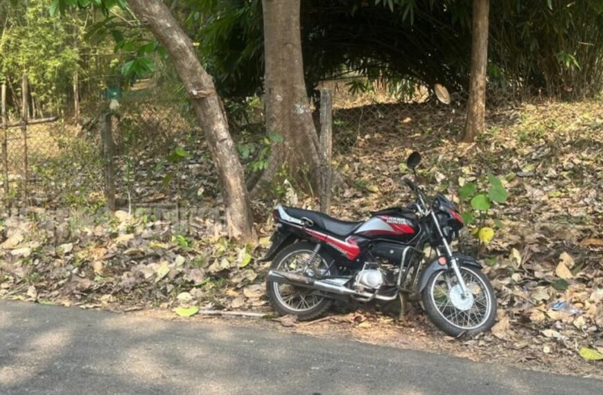 വേലൂപ്പാടം പുലിക്കണ്ണി റോഡില്‍ കാട്ടുപന്നി ബൈക്കിന് കുറുകെ ചാടി ദമ്പതികള്‍ക്ക് പരുക്കേറ്റു