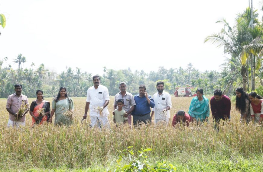 15 വര്‍ഷമായി തരിശ് ആയിട്ടുള്ള സ്ത്രീധനക്കാവ് പാടത്ത് സെയ്താന്‍ കണ്ണൂകാടന്റെ നേതൃത്വത്തില്‍ നല്‍കിയ നെല്‍കൃഷിയുടെ വിളവെടുപ്പ് നടത്തി
