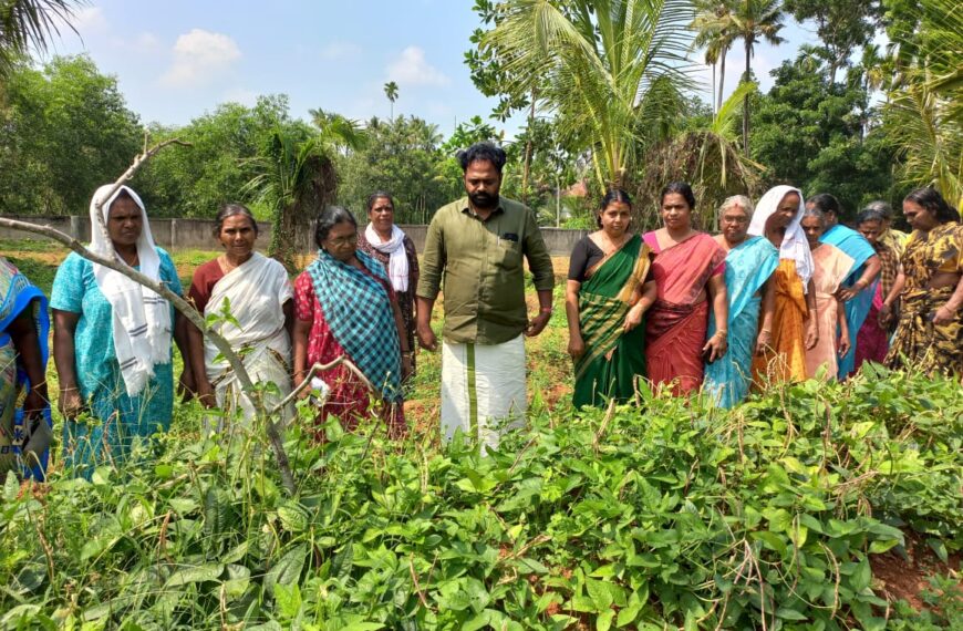 മഹാത്മാഗാന്ധി ദേശീയ ഗ്രാമീണ തൊഴിലുറപ്പ് പദ്ധതിയുടെ ഭാഗമായി പറപ്പൂക്കര പഞ്ചായത്തിലെ ഏഴാം വാര്‍ഡിലെ തൊഴിലുറപ്പ് തൊഴിലാളികളുടെ നേതൃത്വത്തില്‍ നടത്തിയ വിഷുക്കാല പച്ചക്കറി കൃഷിയുടെ വിളവെടുപ്പ് നടത്തി
