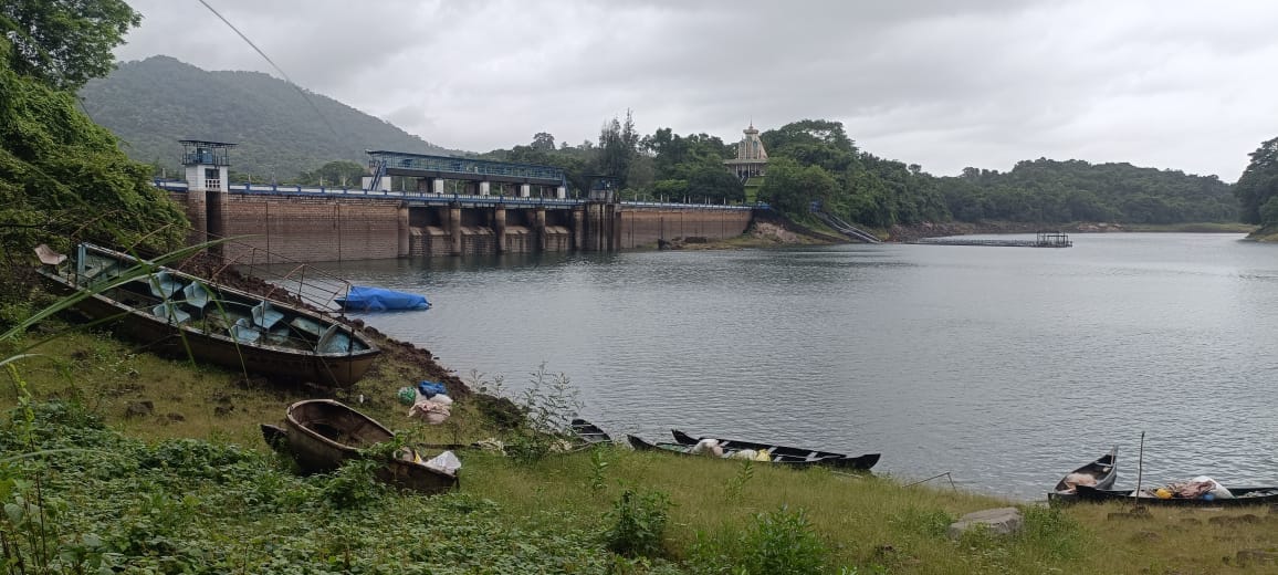 പീച്ചി ഡാം ജലനിരപ്പ്; ഒരാഴ്ചയ്ക്കിടെ ഉയർന്നത് ഒന്നര മീറ്റർ