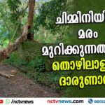 ചിമ്മിനി ഡാം പാര്‍ക്കിങ് ഗ്രൗണ്ടിനുസമീപം മരംമുറിക്കുന്നതിനിടെ തൊഴിലാളിക്ക് ദാരുണാന്ത്യം