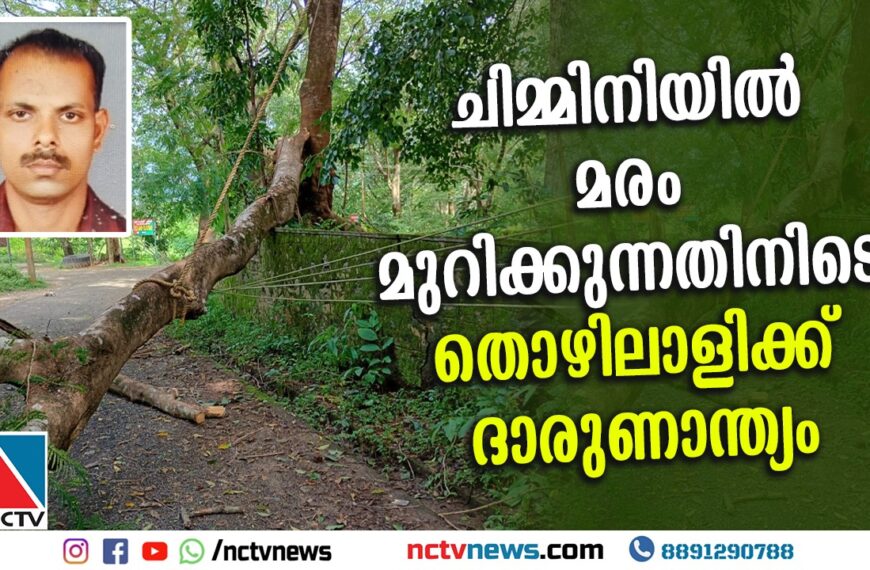 ചിമ്മിനി ഡാം പാര്‍ക്കിങ് ഗ്രൗണ്ടിനുസമീപം മരംമുറിക്കുന്നതിനിടെ തൊഴിലാളിക്ക് ദാരുണാന്ത്യം
